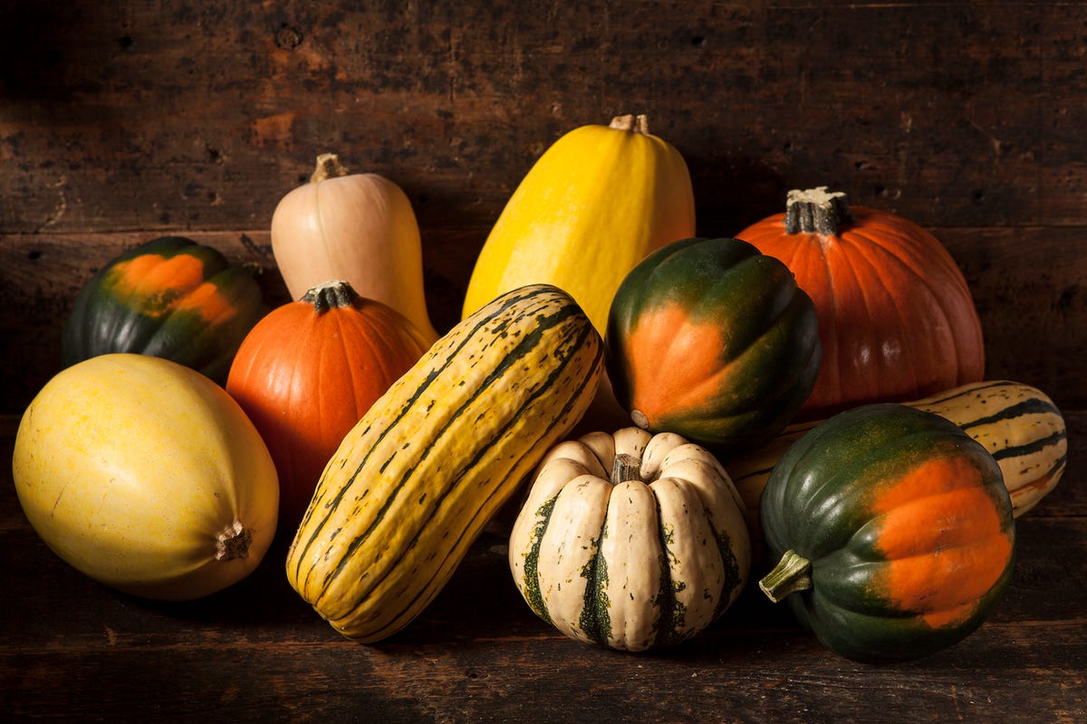 is-squash-a-fruit-or-a-vegetable-what-is-a-fruit