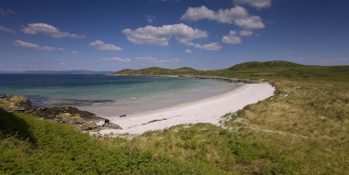 An island off the coast. Karolina Happy Island Шотландская. Gigha Island. Holy Island Scotland. Isle of Gigha Heritage Trust.