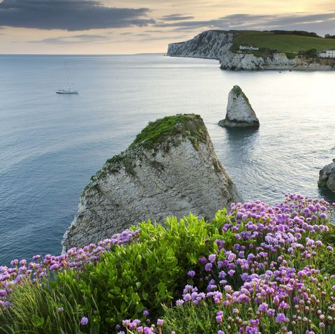 Cele mai bune 10 locuri de cazare din Insula Wight, Marea Britanie | wunderman.ro