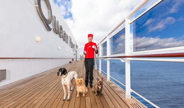 uniformed kennel attendant with his charges aboard cunards queen mary 2