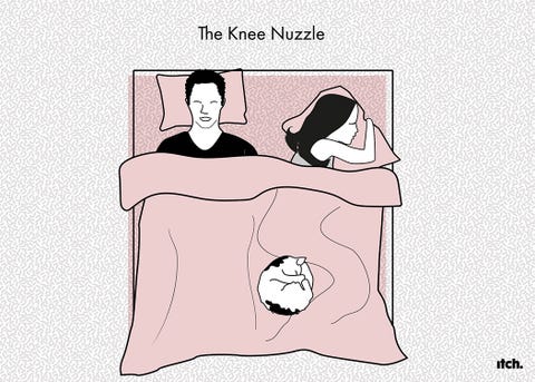 10 Pet Sleeping Positions And What They Mean 10 Pet Sleeping Positions And What They Mean