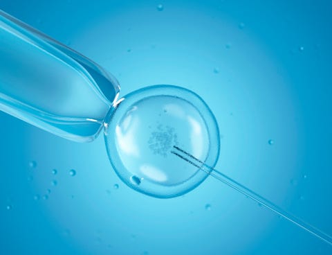 IVF