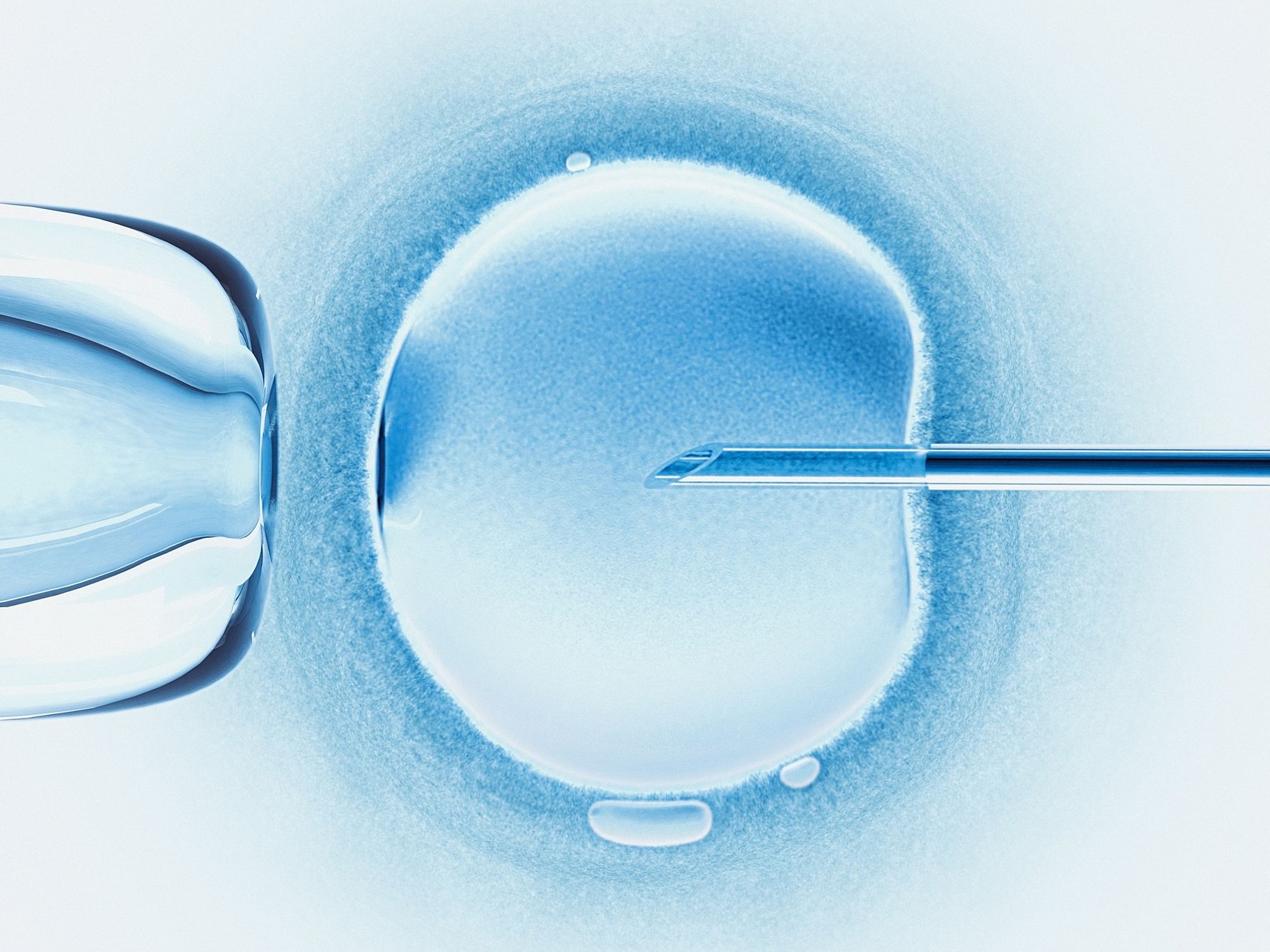 Clinics Retrieving ‘Far Too Many’ Eggs from IVF Patients