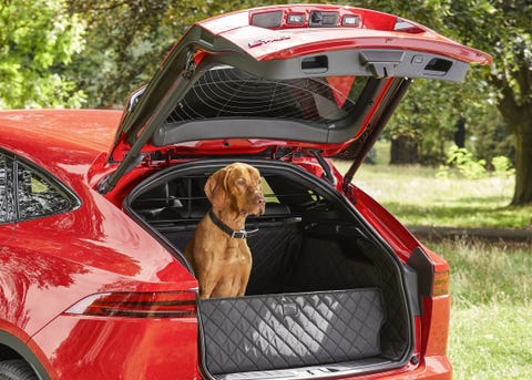 Jaguar Rolls Out Line Of Dog Accessories Pricey But Practical