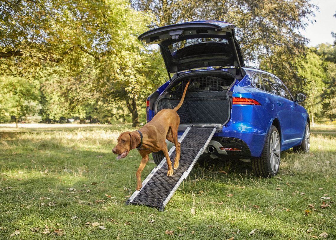 jaguar e pace dog guard