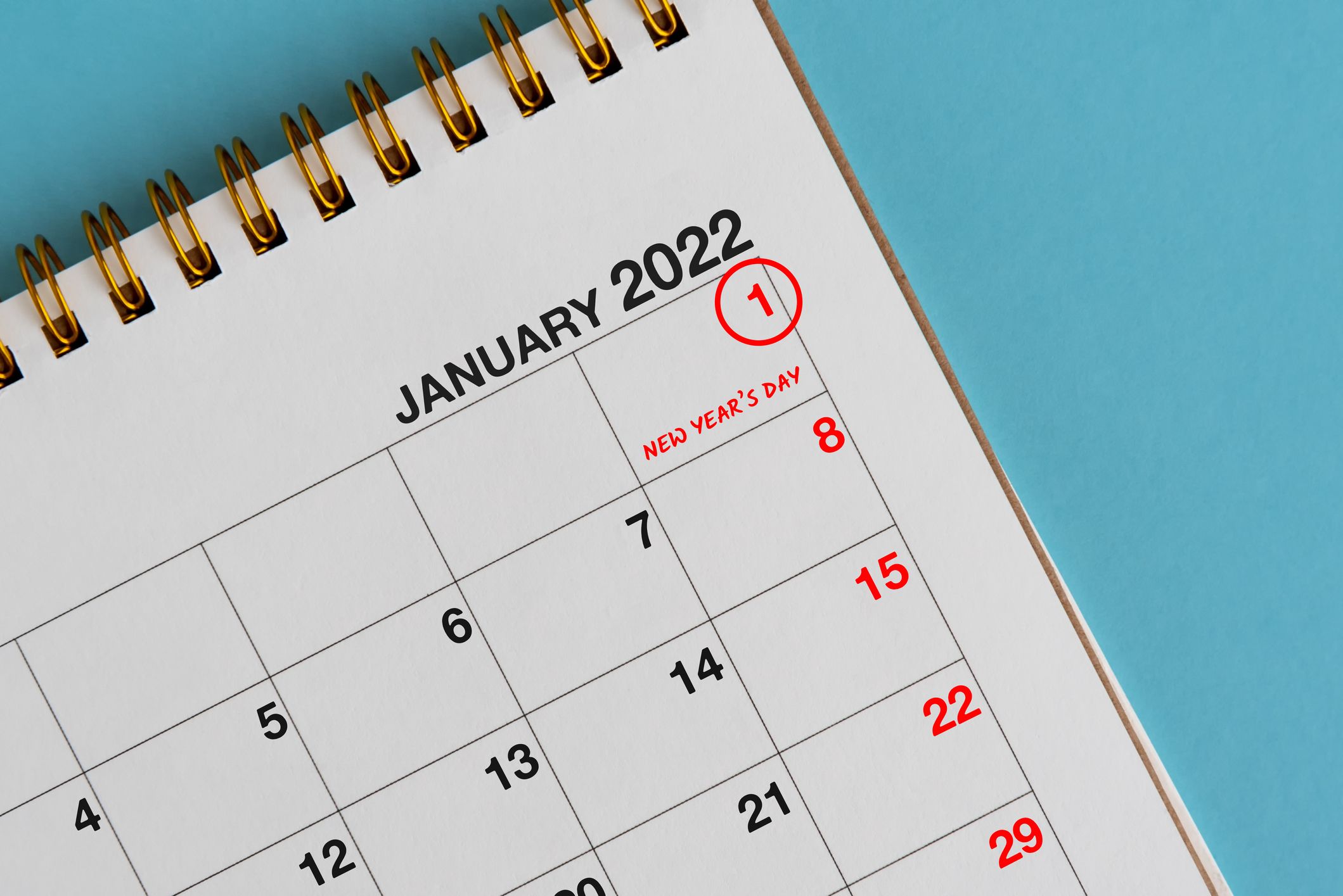 2022 holiday january public January 2022