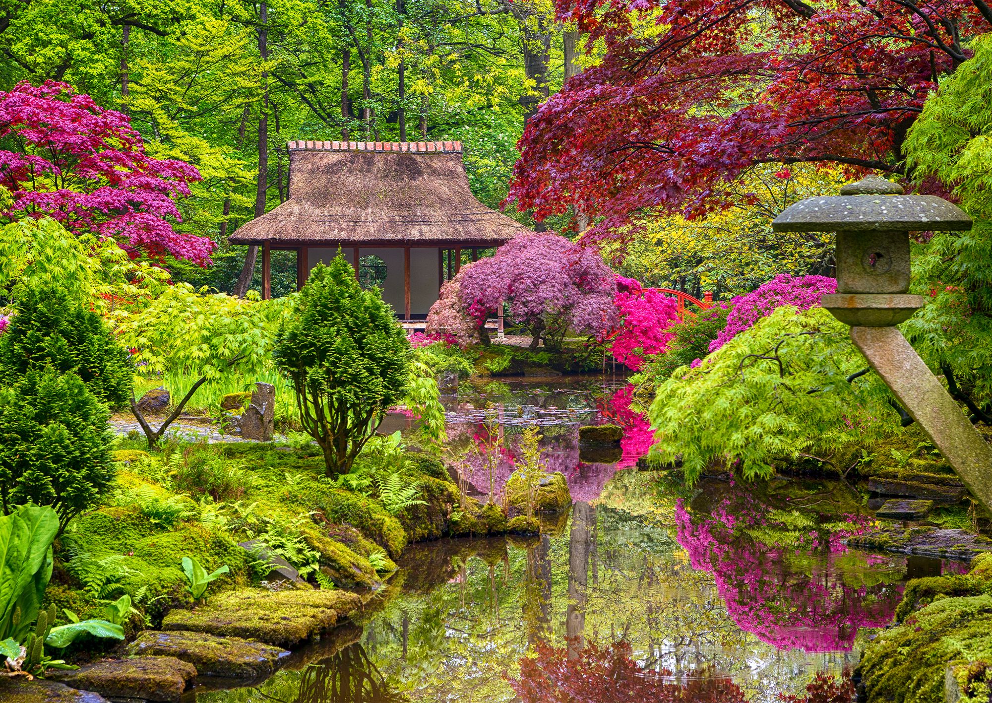 Japanese Garden Ideas How To Plant A, Japanese Landscaping Plants