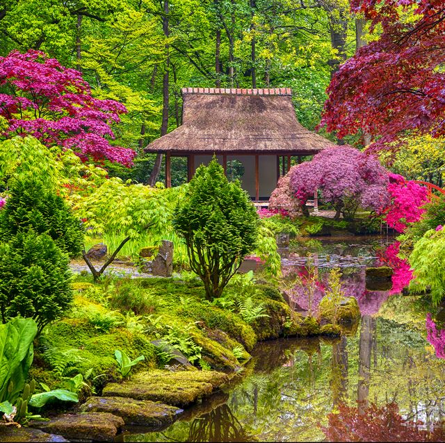 Japanese Garden Ideas How To Plant A, Asian Garden Plants Uk