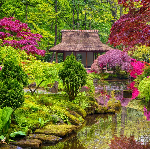 Japanese garden ideas: how to plant a Japanese garden