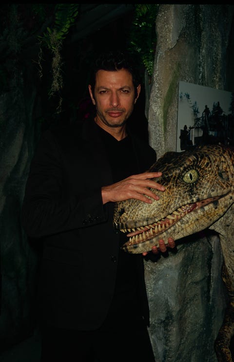 Jeff Goldblum Will Be In Jurassic World 2 Jeff Goldblum Returns To Jurassic Park