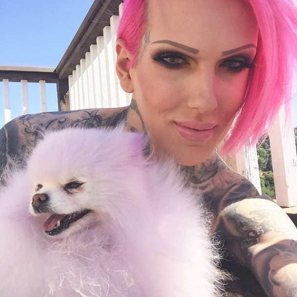 What Are All The Names Of Jeffree Stars Dogs