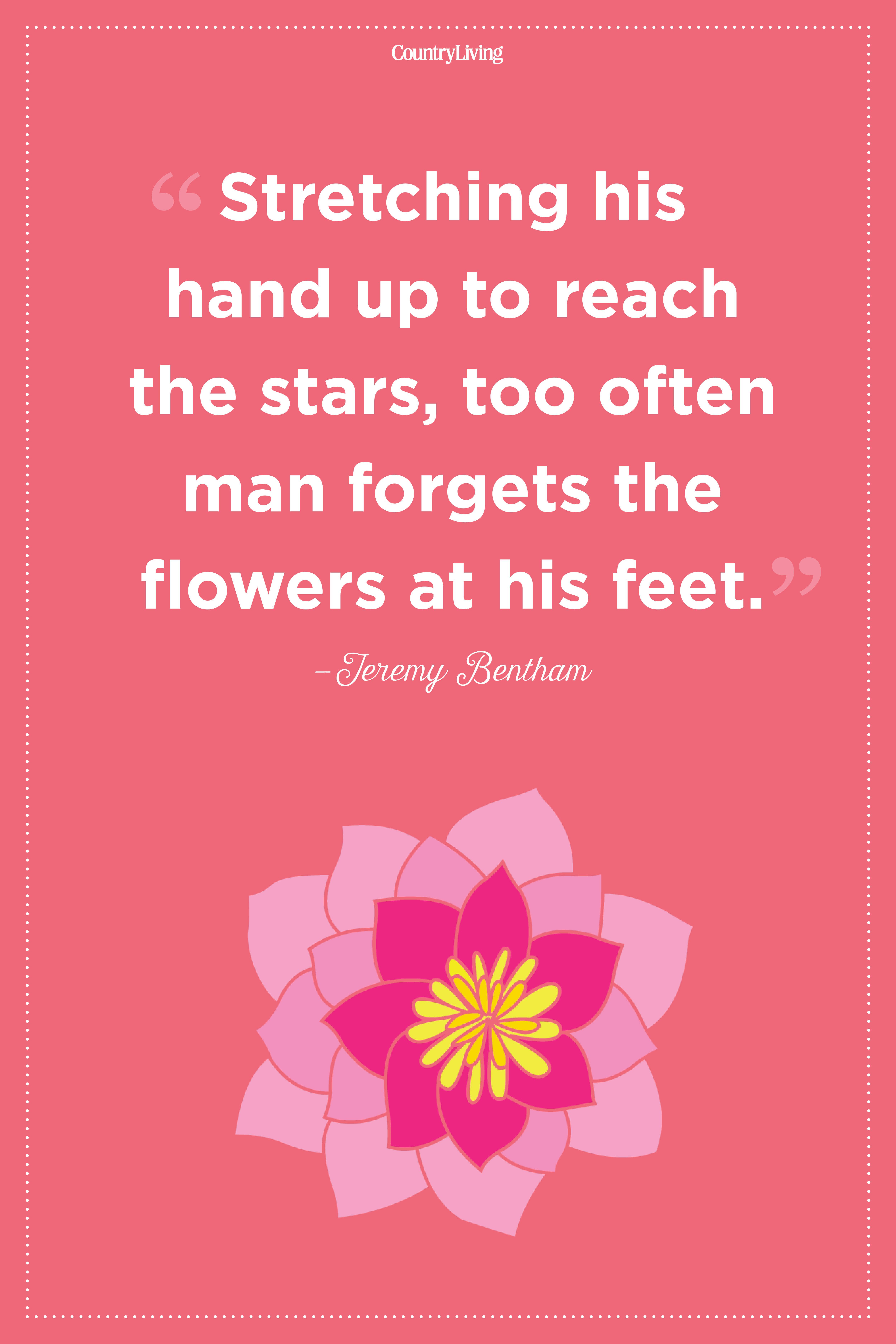 20 Inspirational Flower Quotes Cute Flower Sayings About Life And Love