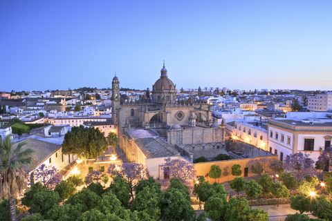 Qué ver en Jerez: Mapa de sus vinos y mejores hoteles, restaurantes, flamenco y caballos