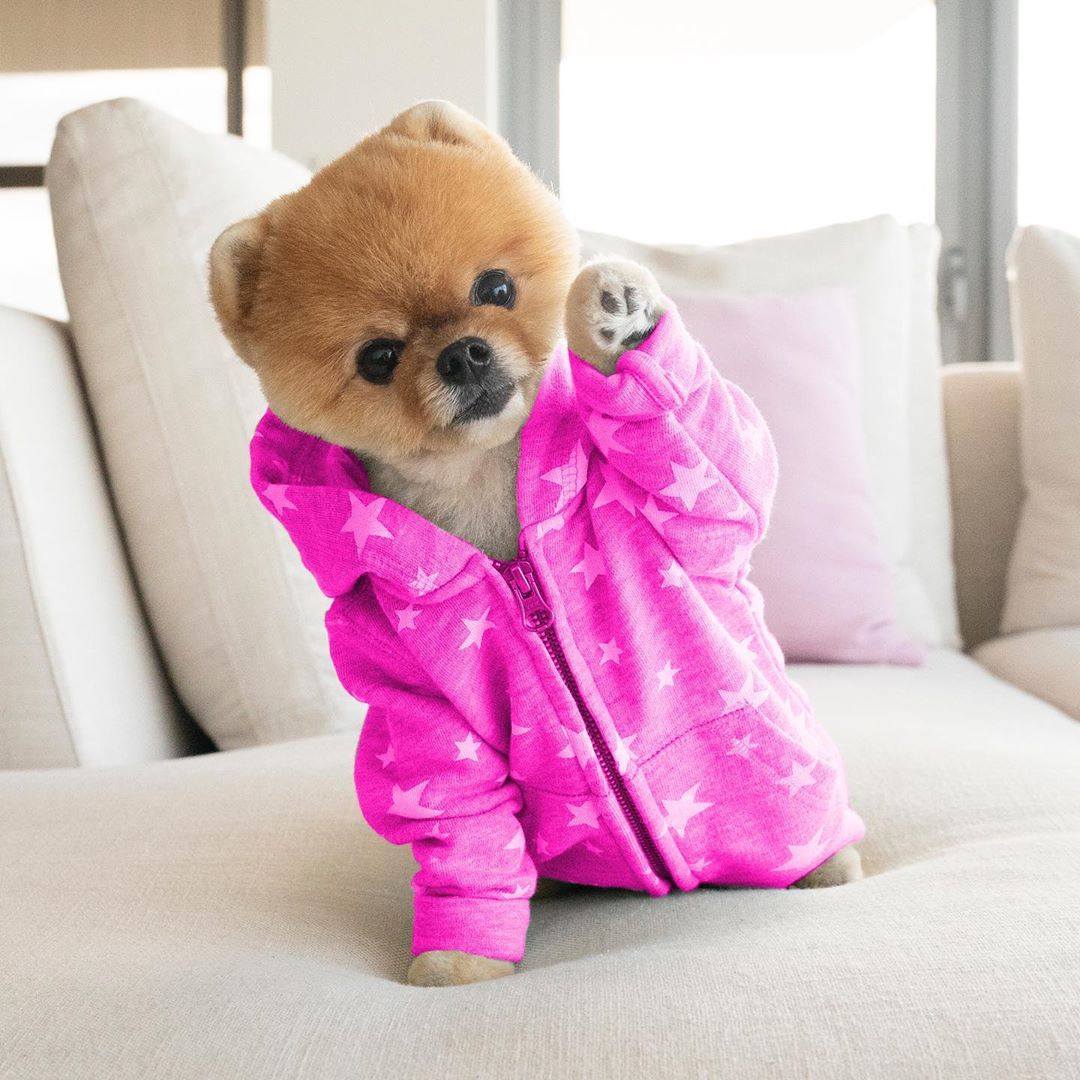 jiffpom stuffed animal