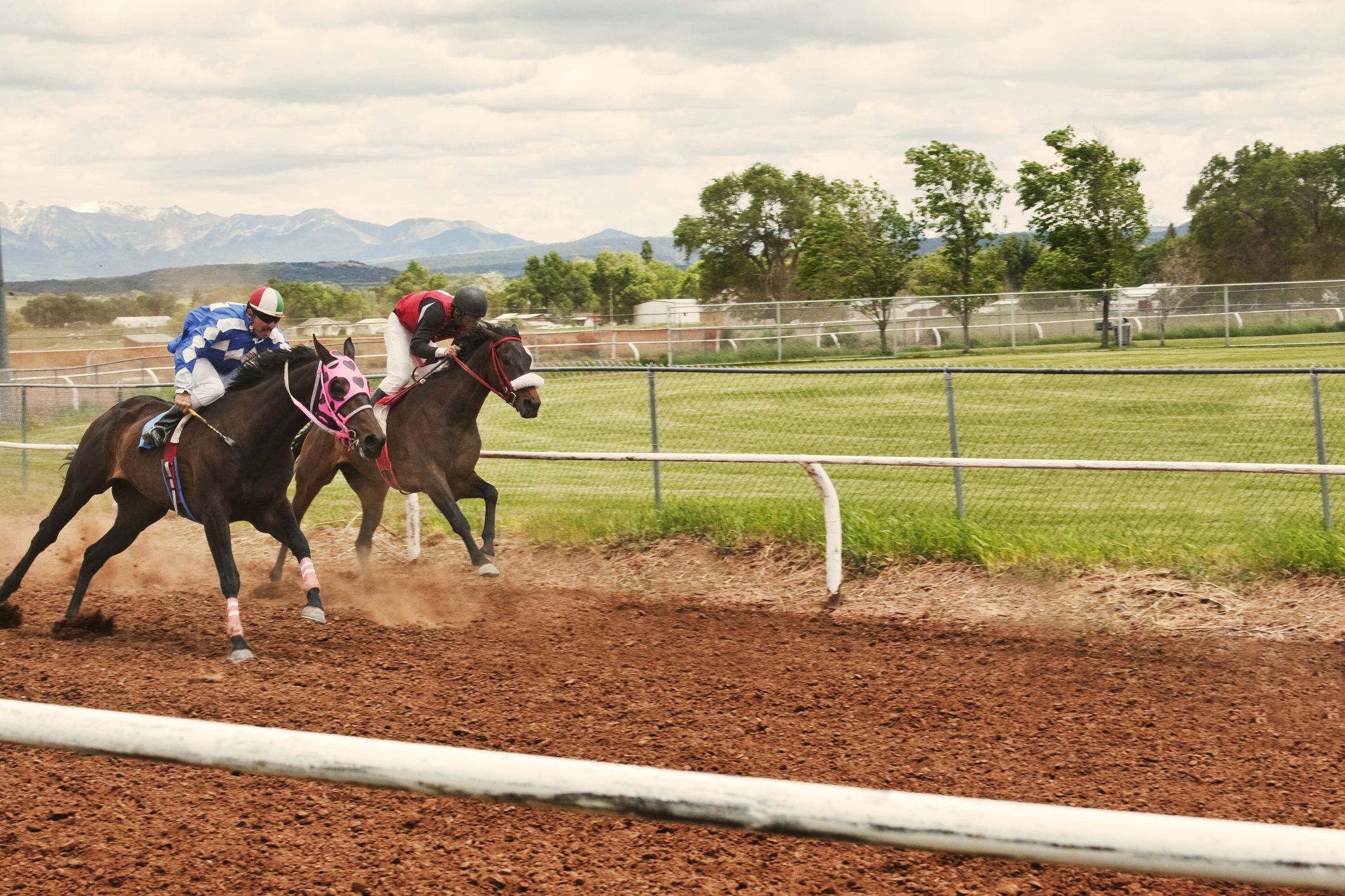 horse racing presents for dad