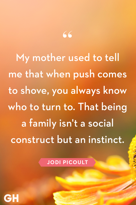 family quote by jodi picoult