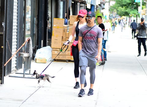 Sophie Turner and Joe Jonas husky puppy