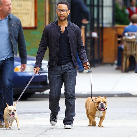 10 Photos of Hot Male Celebs with Their Pets That’ll Make You Say ‘Awww'