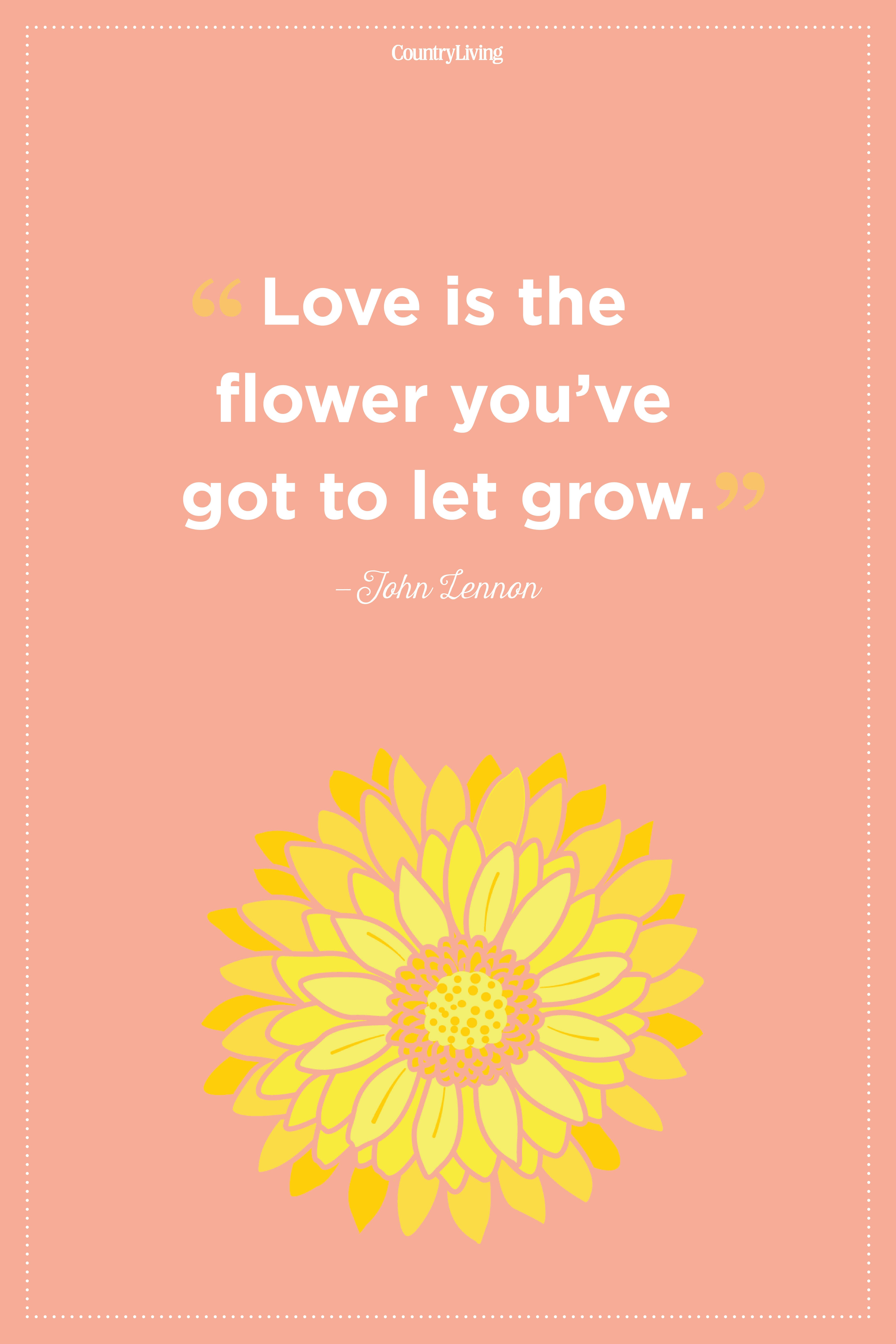 20 Inspirational Flower Quotes Cute Flower Sayings About Life And Love