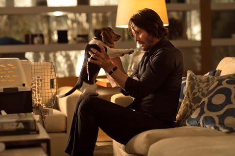 John Wick john wick