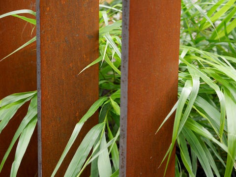 MDF in gardens MDF in gardens photo