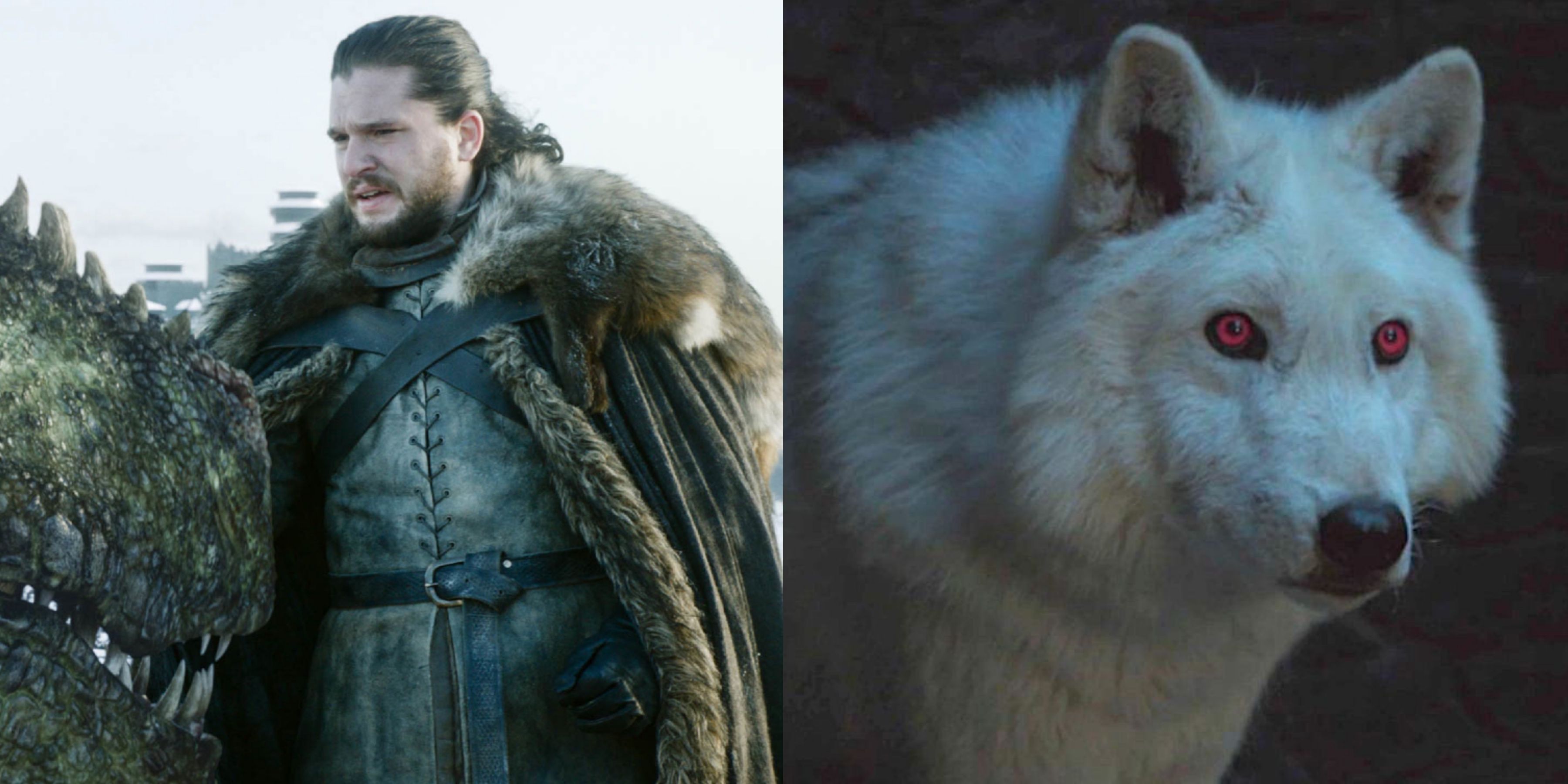 Jon Snow and Ghost