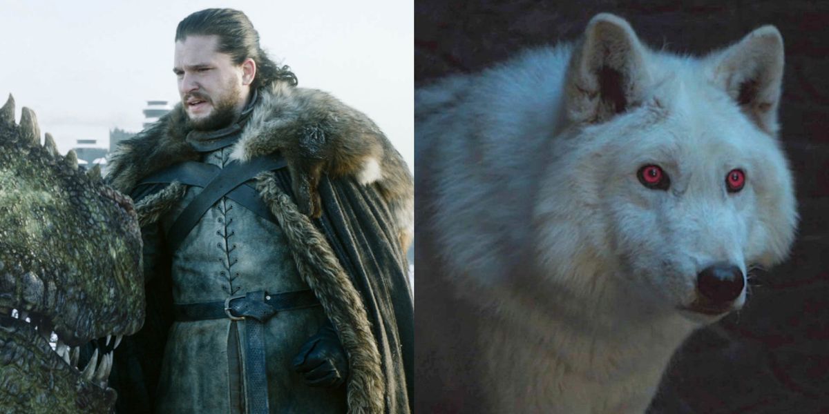 Ghost Will Return in Game of Thrones Season 8 Where Is
