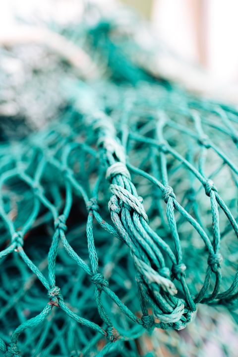 Green, Net, Turquoise, Blue, Wire, Wire fencing, Close-up, Fence, Fishing net, Technology, 