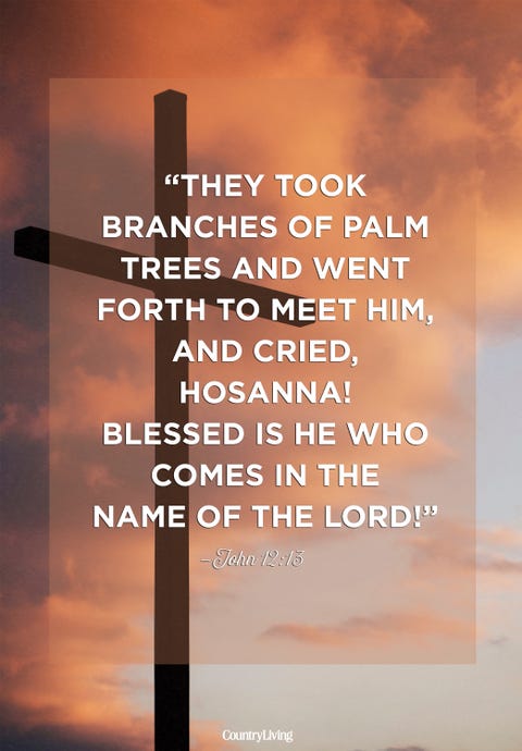 12 Palm Sunday Scripture Verses - Easter Quotes from the Bible