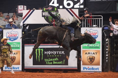 jose vitor leme rides tex brothers ranch5s bucking bulls’s big whiskey for 86 during the third round of the world finals unleash the beast pbr photo by andy watson bull stock media
