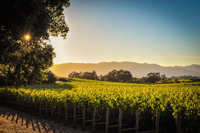 Napa Travel Guide What To Do Where To Stay In Napa Valley California