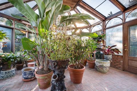 Flower, Houseplant, Plant, Botany, Greenhouse, Tree, Room, Real estate, Flowerpot, Garden, 