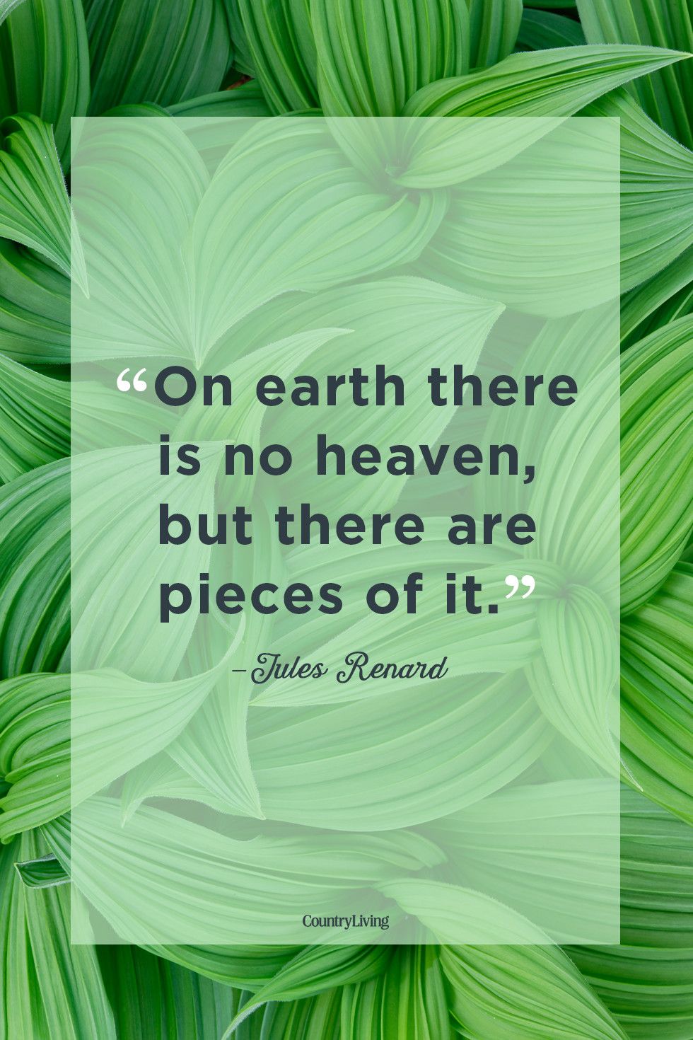 60 Best Nature Quotes — Beautiful Sayings About Nature