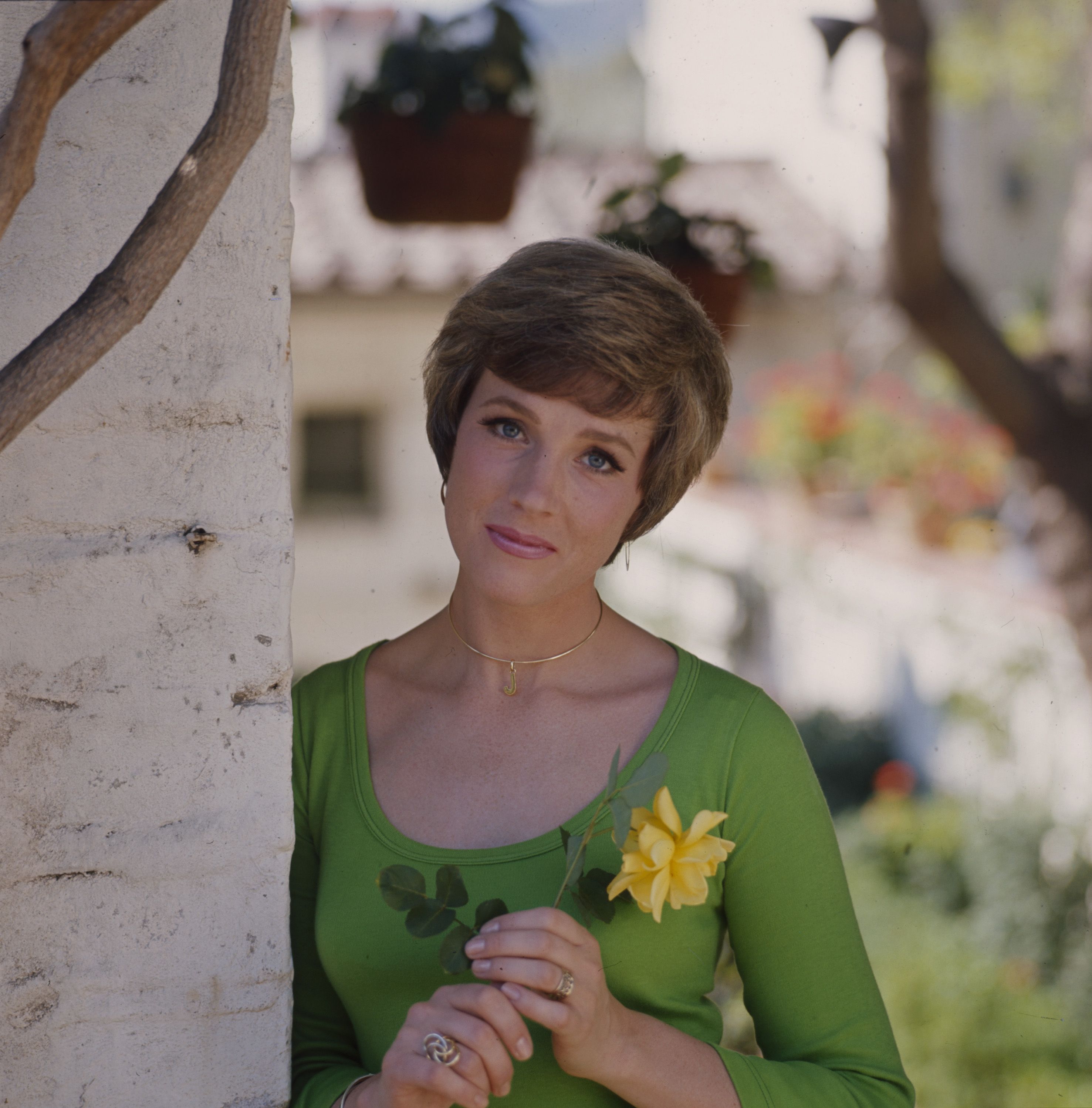 PHOTO JULIE ANDREWS REF AND011220141 