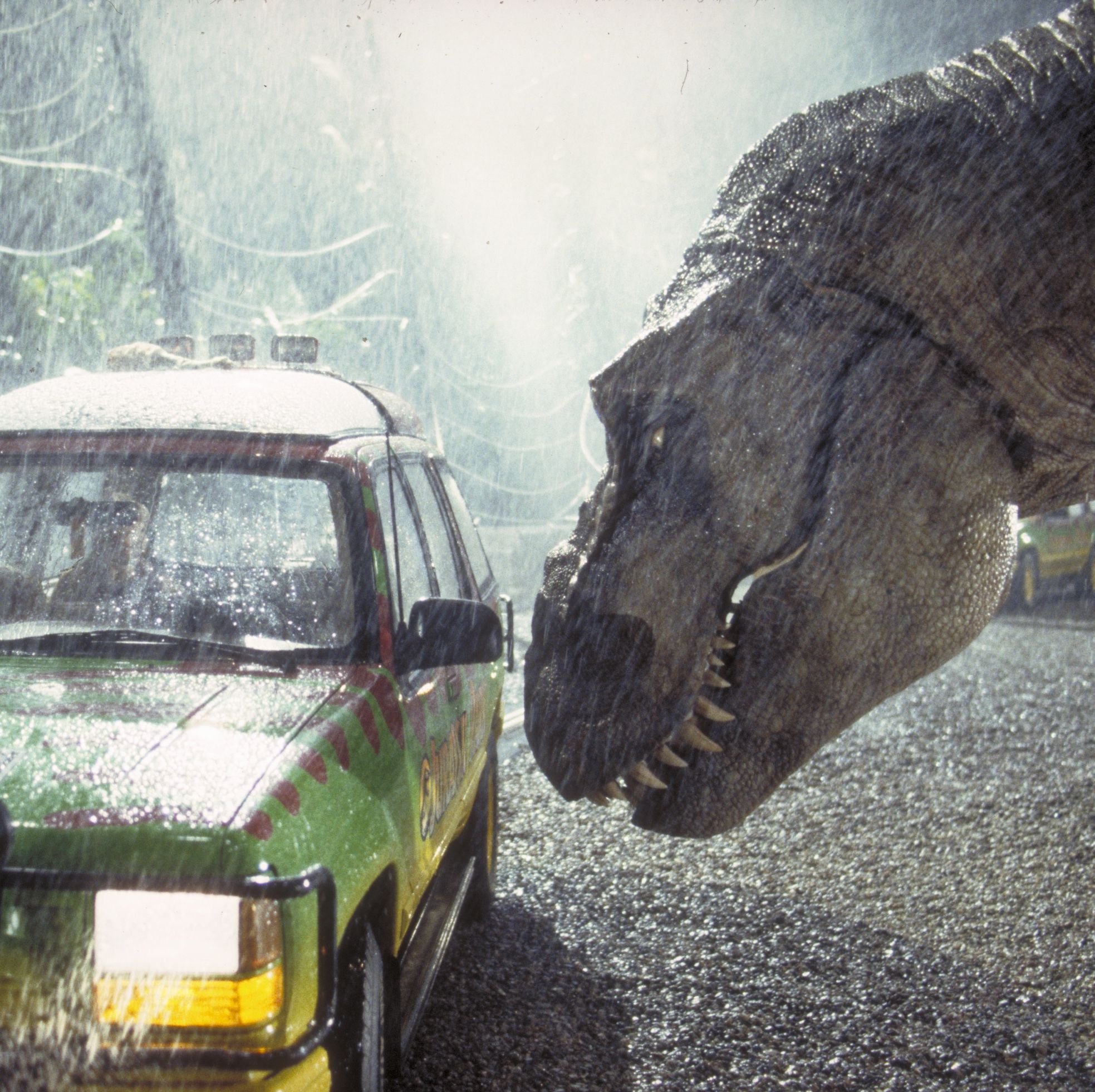 How to Watch the 'Jurassic Park' Movies in Order Before 'Jurassic World: Dominion'