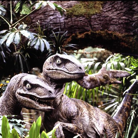 jurassic-park-velociraptor-1589288734.jpg