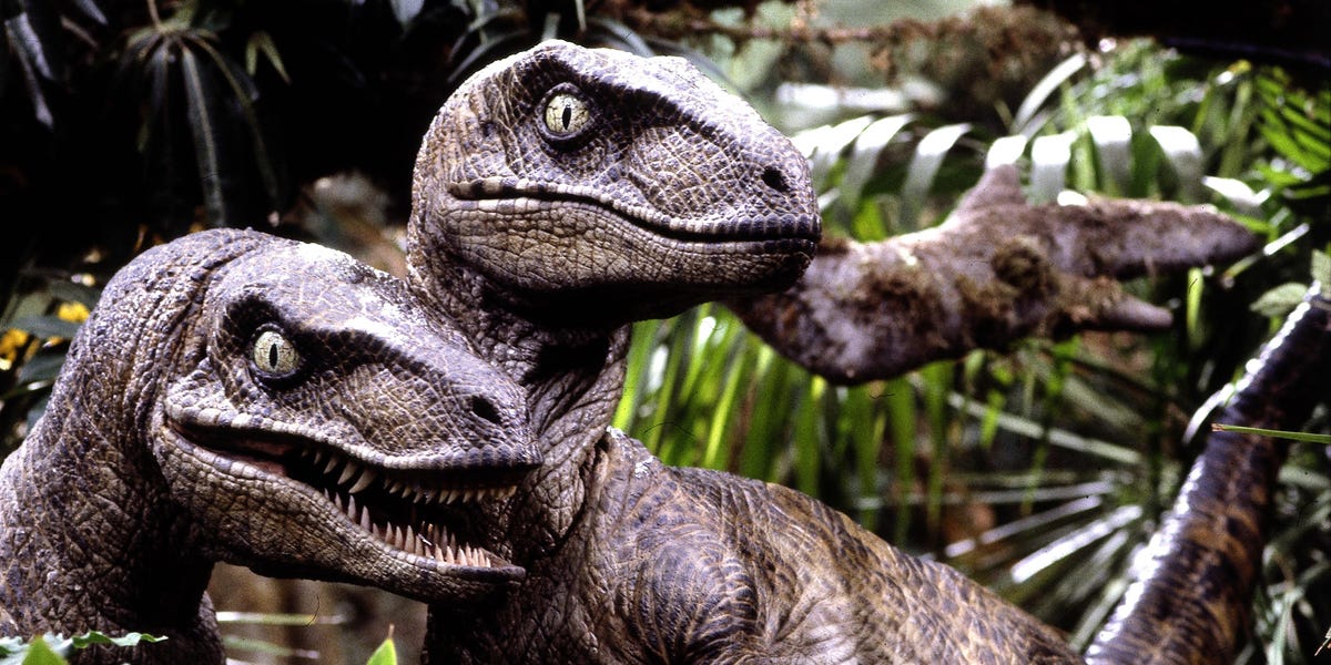 Jurassic World Reveals Teaser For All New Raptor Rollercoaster Jurassic World Reveals Teaser For All New Raptor Rollercoaster