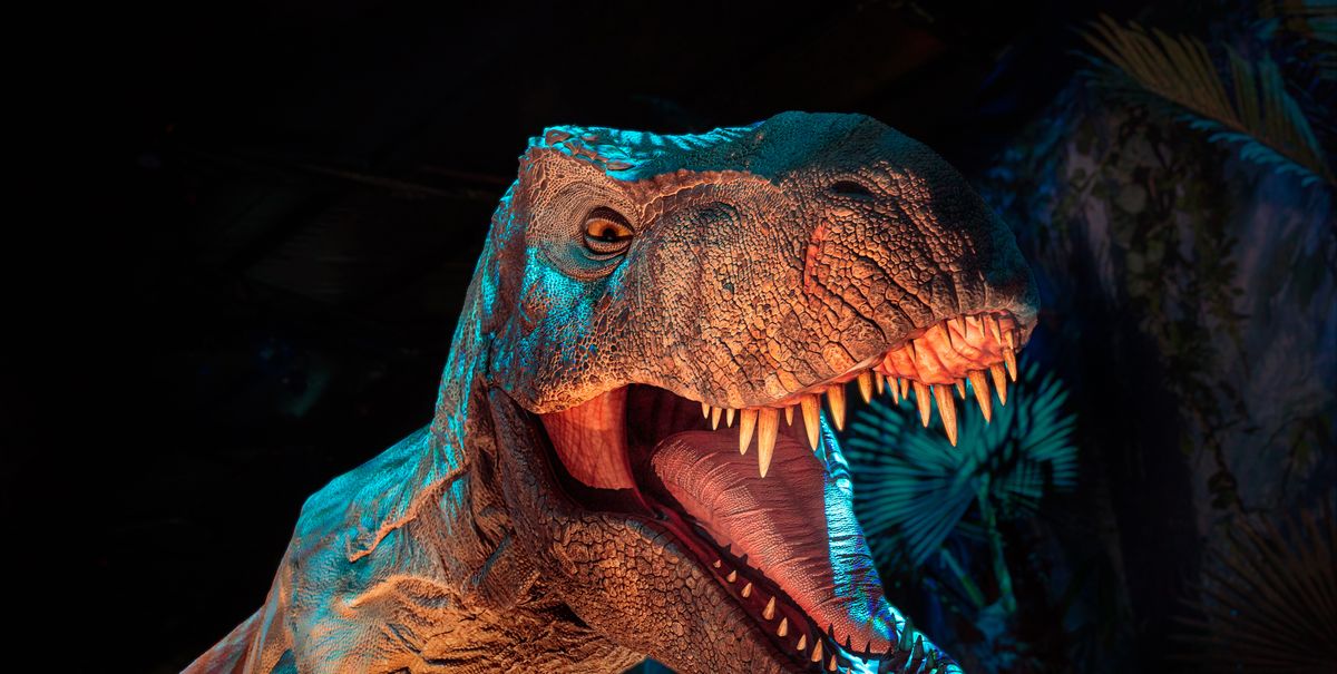 Jurassic World Exhibition with roaming dinosaurs to launch soon