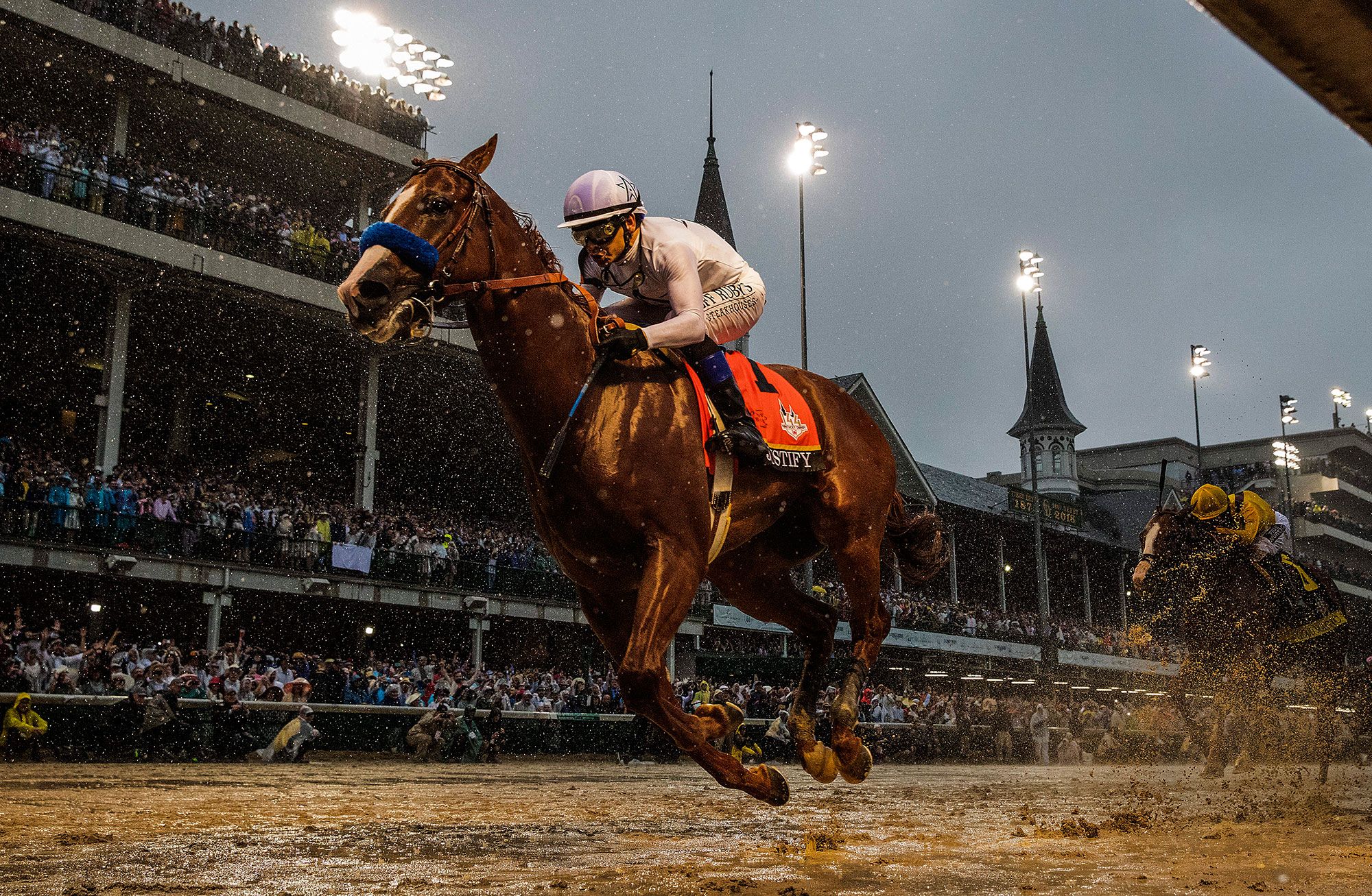 How Runners Really Learn From Watching Horse Racing