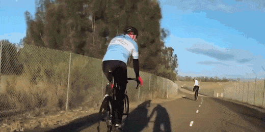 Kangaroo Hits Cyclist Video
