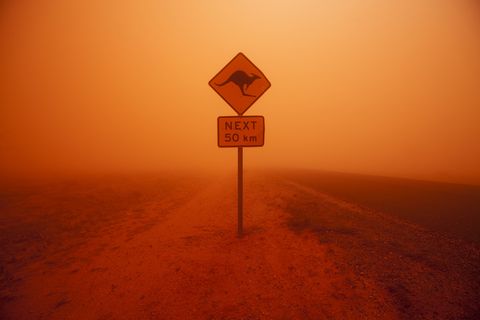 kangaroo crossing sign in dust storm in the australian outback