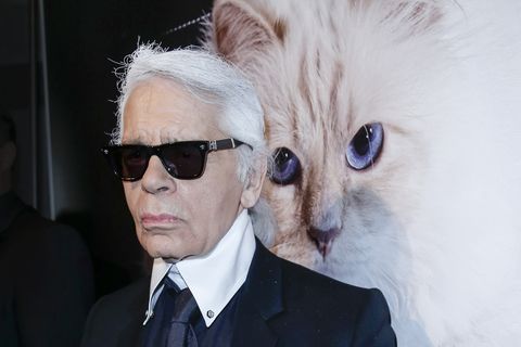 Karl Lagerfeld's Beloved Cat 'Choupette' Could Be 'Heir' To The ...