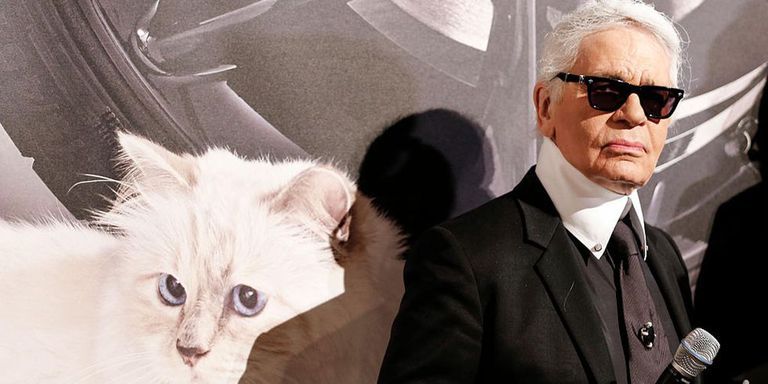 RIPDaddy collectie: kat van Karl Lagerfeld, Choupette, komt met eigen kledinglijn