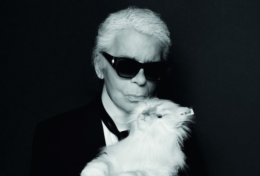 Karl Lagerfeld S Cat Is Expanding Her Empire