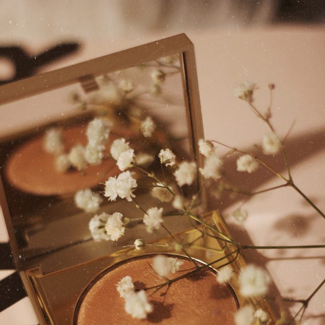 Branch, Twig, Flower, Blossom, Branch, Twig, Flower, Blossom,
