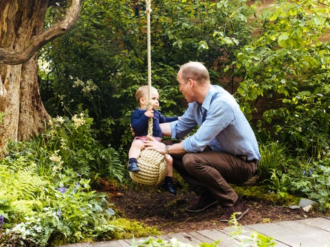 prince william prince louis swing garden chelsea flower show