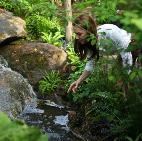 Kate Middleton Back to Nature garden