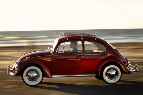 beetle classic
