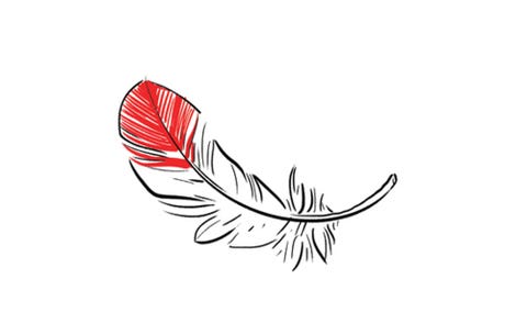 Feather Feather