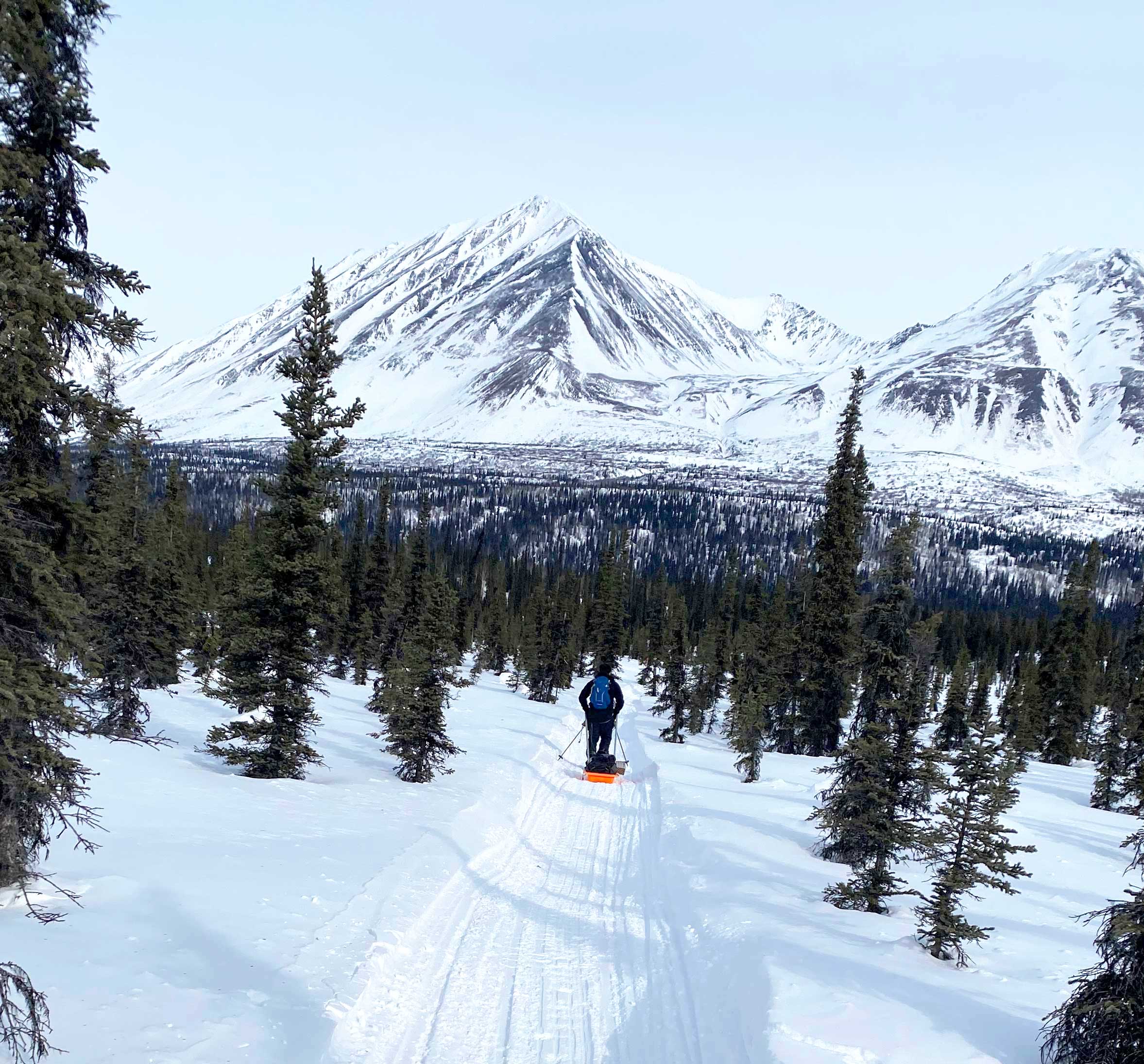 Ten Days, 350 Miles, and Countless Moose Encounters: What It’s Like Running the Iditarod